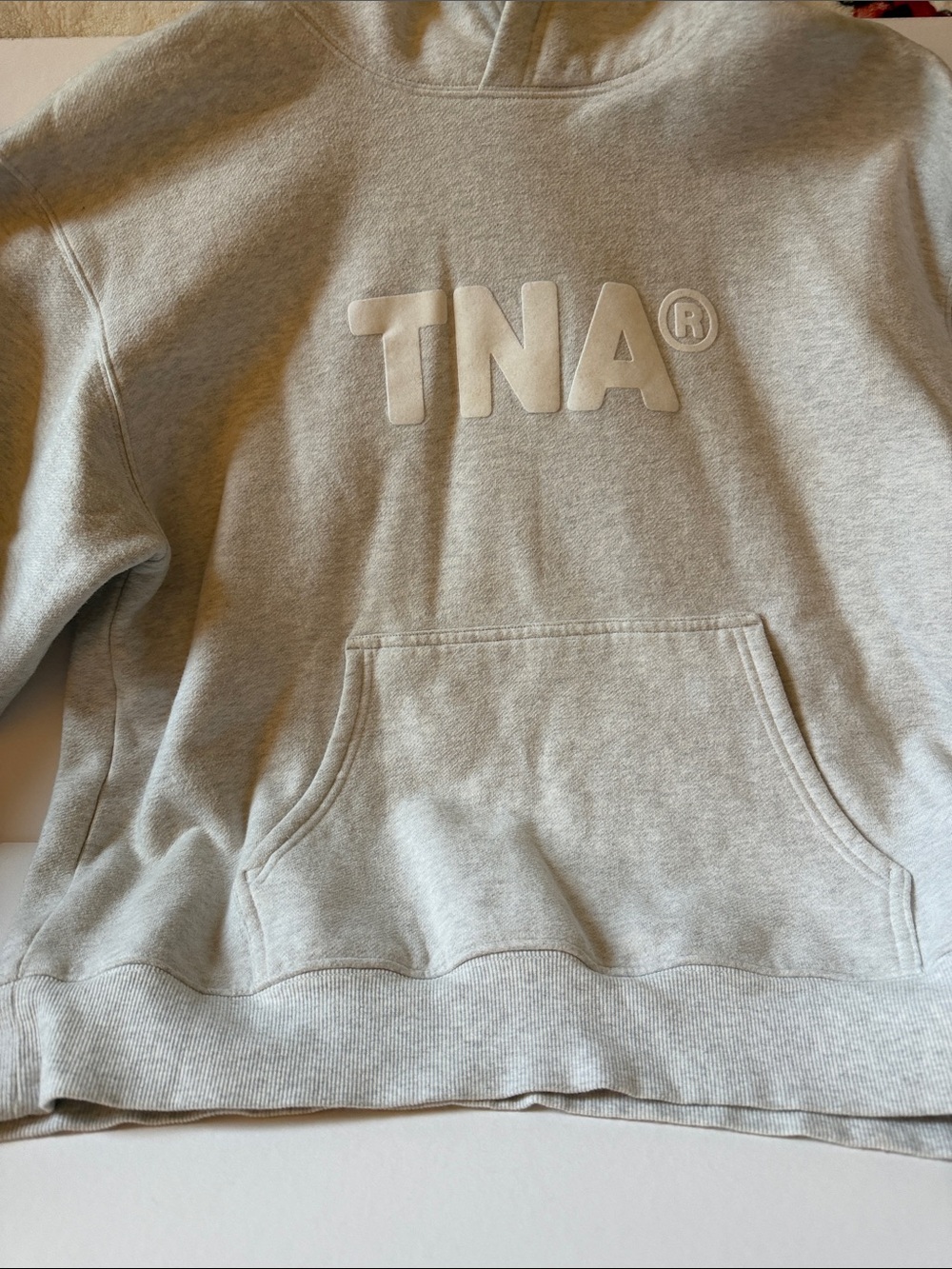 Aritzia TNA Light Heather Gray Pullover Hoodie with Raised Logo size large